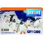 Kelly-Tarltons-300-NZD-Physical-Gift-Card-Express-Delivery-4.jpg
