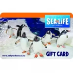 Kelly-Tarltons-Gift-Cards-4.jpg