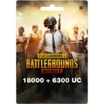 PUBG 24300UC $300 USD (US) Digital Gift Card (Email Delivery)
