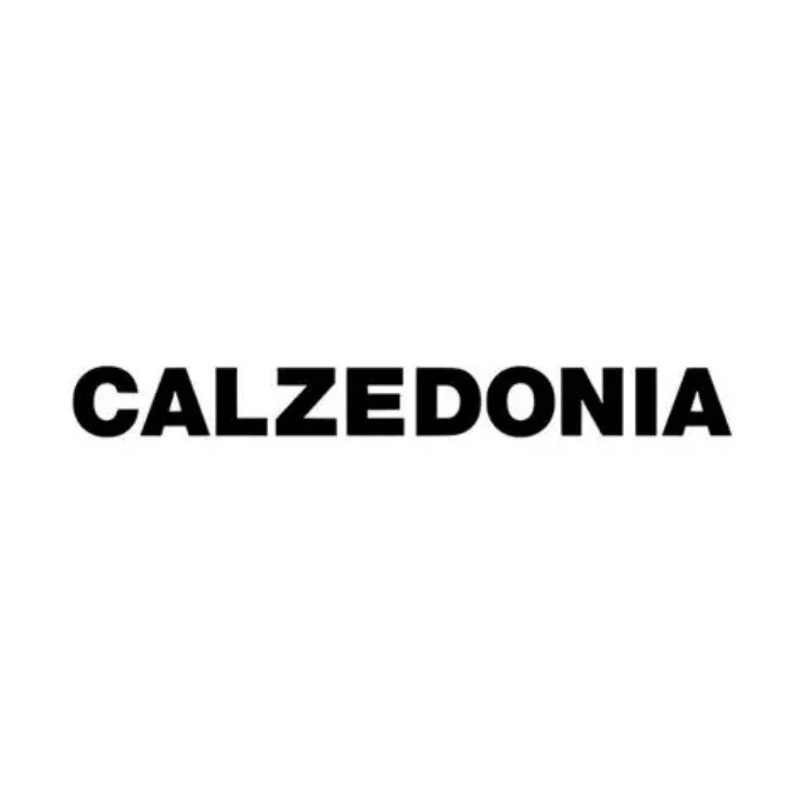 Calzedonia Gift Cards Spain Region – EUR (Email Delivery)
