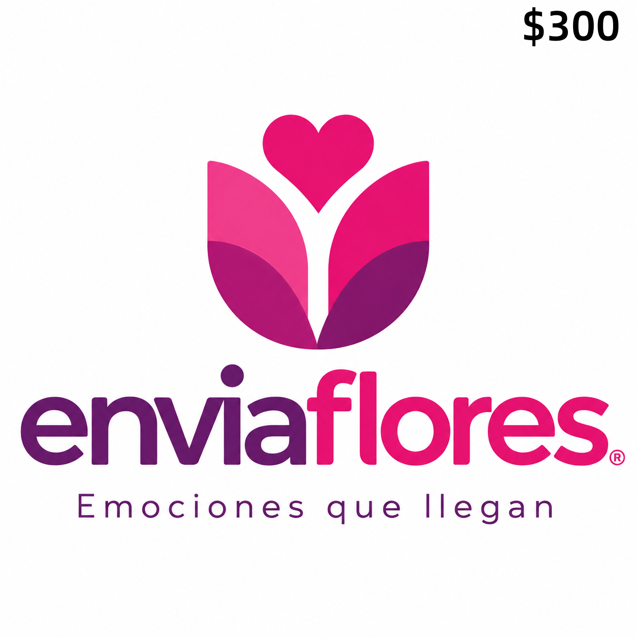 Enviaflores-300